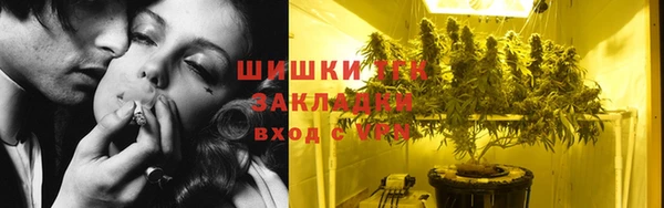бошки Каменка