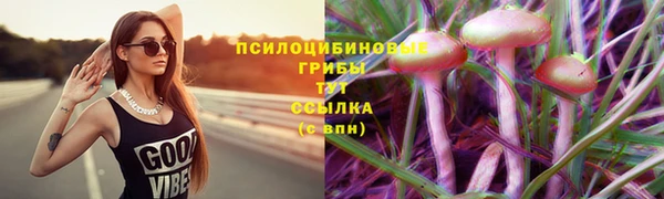 тгк Каменск-Шахтинский