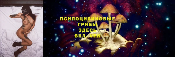 прущая мука Каменногорск