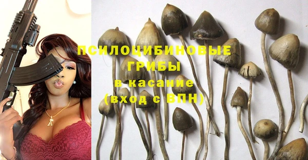 тгк Каменск-Шахтинский