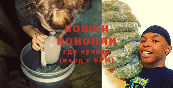 бошки Каменка