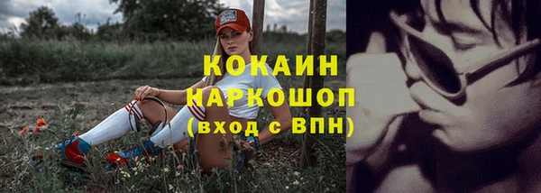 бошки Каменка