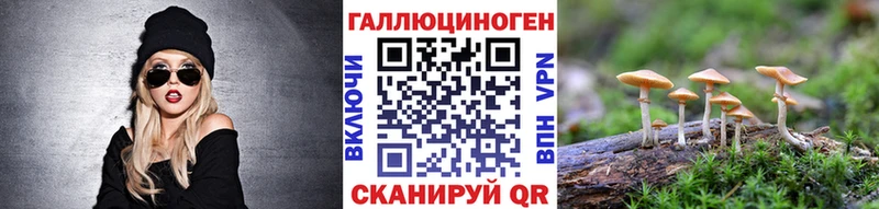 Псилоцибиновые грибы Cubensis  гидра ТОР  Реж 