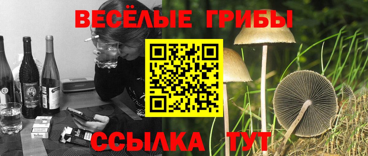 ГАШ  ЭКСТАЗИ  КОКАИН  Реж  Вход с VPN  MDMA  ГАШ  Канабис  МЕФ  
